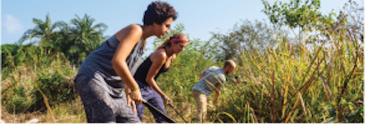 Volunteer travel for adults