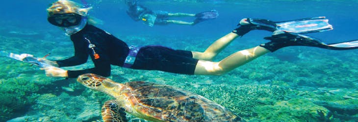 Marine Conservation Volunteer in Australia with IVHQ