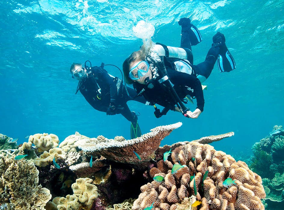 Ivhq Marine Conservation Volunteering in Belize | IVHQ