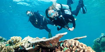 Marine Conservation volunteer project in Belize with IVHQ
