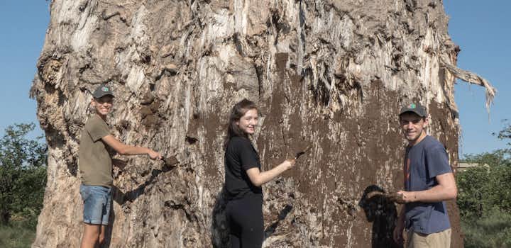 Wildlife Conservation volunteer project in Botswana with IVHQ