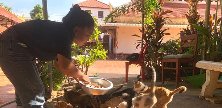 Volunteer on the Animal Care project in Cambodia with IVHQ
