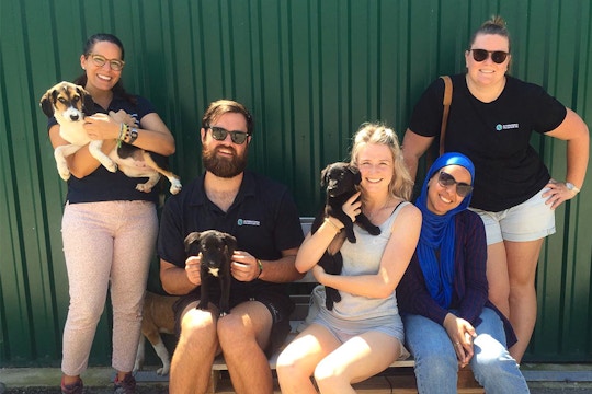 Volunteer on the Animal care project in Croatia with IVHQ