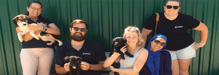 Animal care volunteering in Croatia with IVHQ