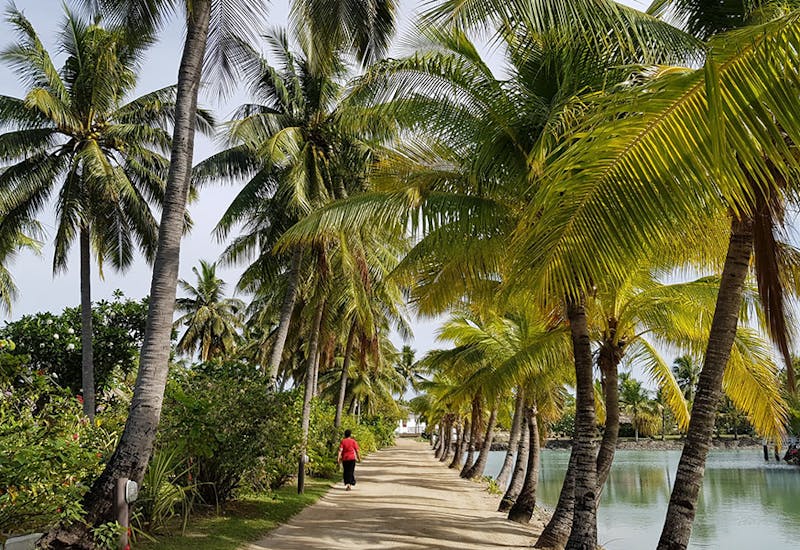Volunteer Abroad in Fiji with IVHQ