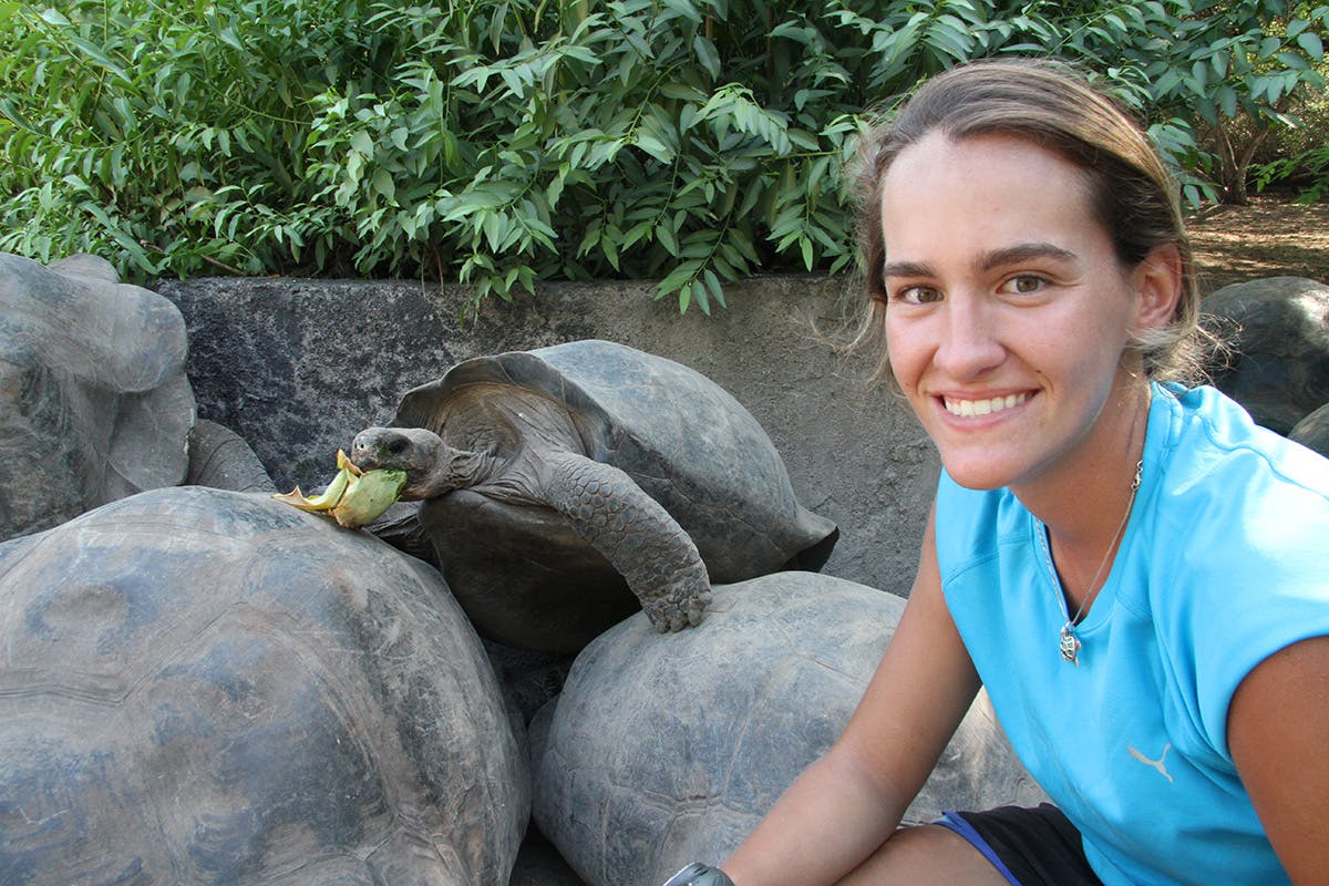 Giant Tortoise Volunteering in the Galapagos Islands