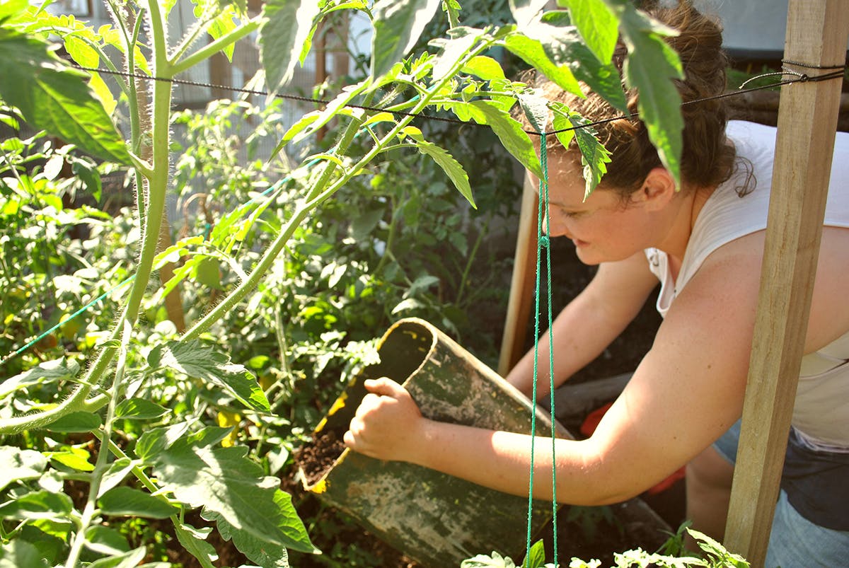 Sustainable Agriculture & Gardening Volunteer Program in the Galapagos Islands