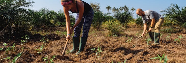 Agriculture volunteers in Ghana with IVHQ