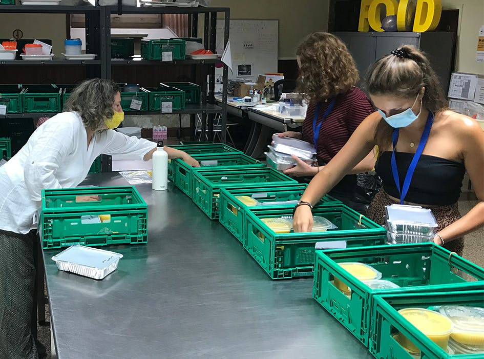 Food Outreach Volunteer Project in Greece - Chios