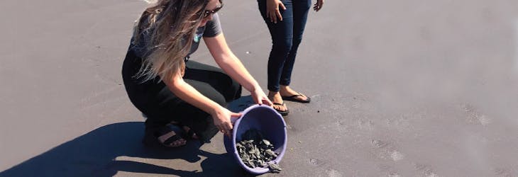 Beach and Turtle conservation volunteer in Guatemala with IVHQ