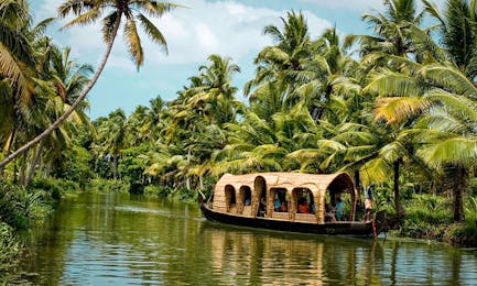 Backwaters Boat Trip (1 day)