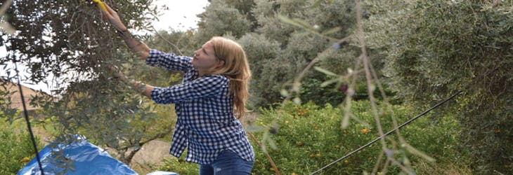 Environmental volunteers in Naples, Italy with IVHQ