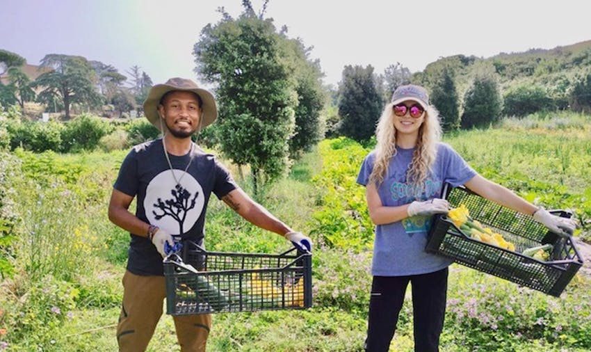 Community Support Volunteering in Italy - Rome