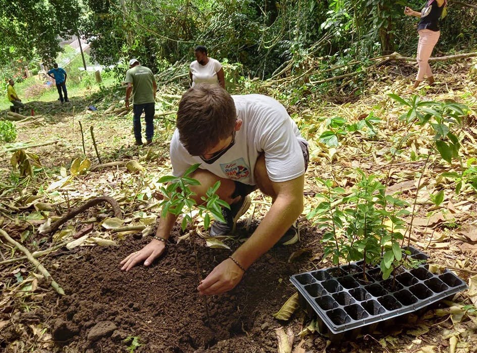 Sustainable Agriculture & Community Development Volunteer Program in Jamaica - St Mary