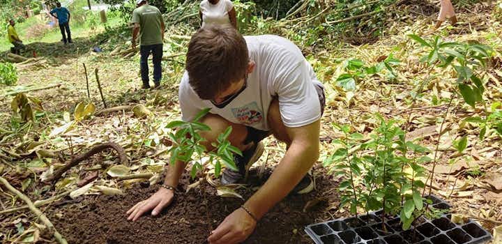 Sustainable Agriculture volunteer project in Jamaica with IVHQ