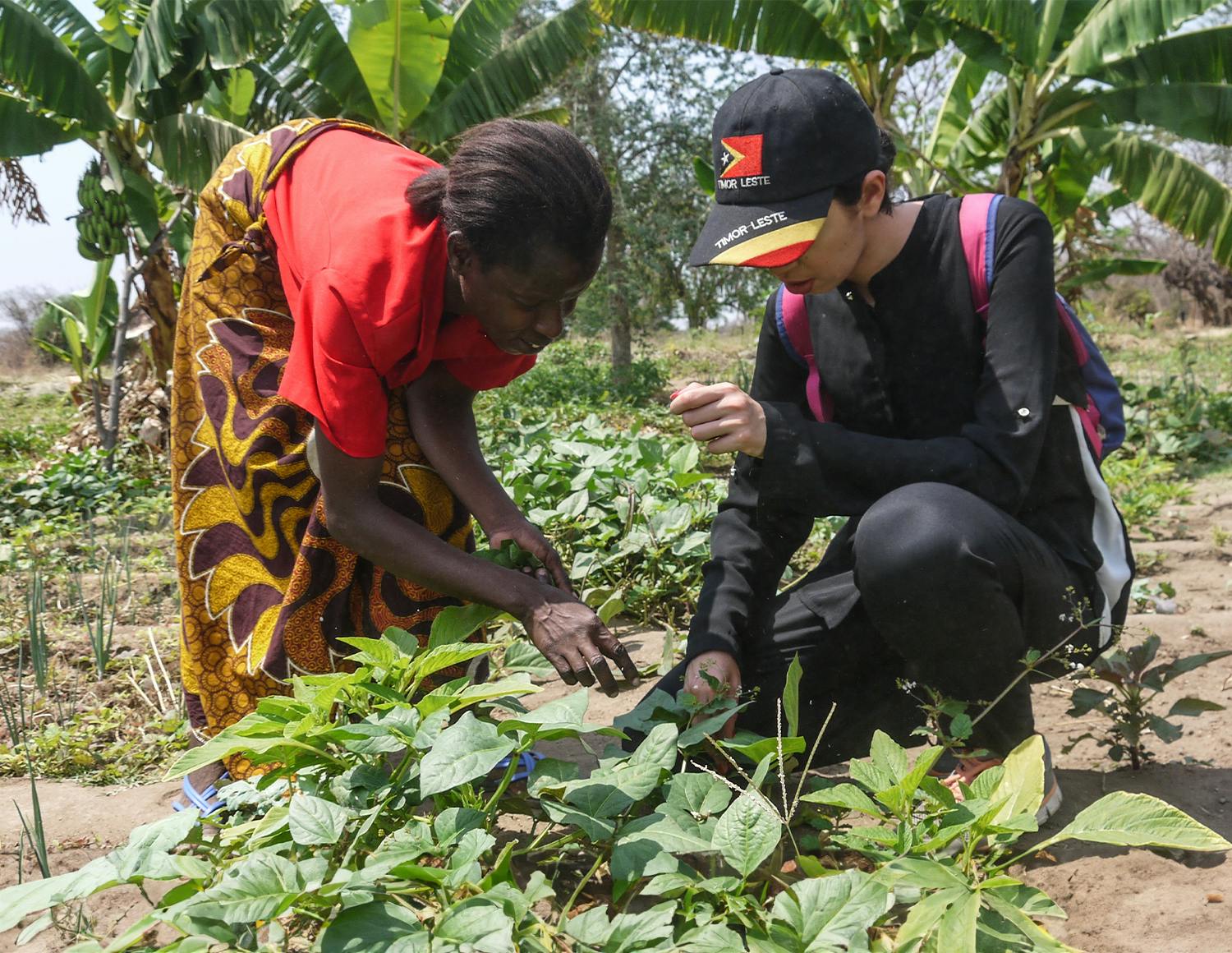 Environmental Conservation Volunteering Project in Malawi