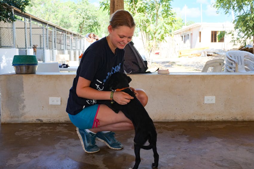 Volunteer in Mexico with IVHQ