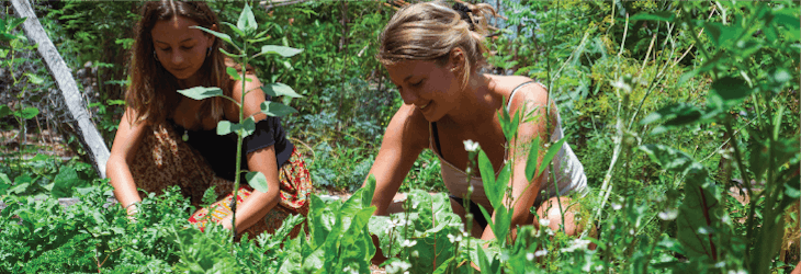 Agriculture volunteers in Mexico