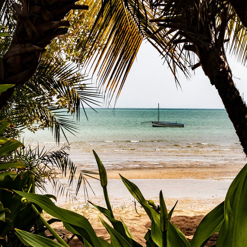 Explore volunteering in Mozambique
