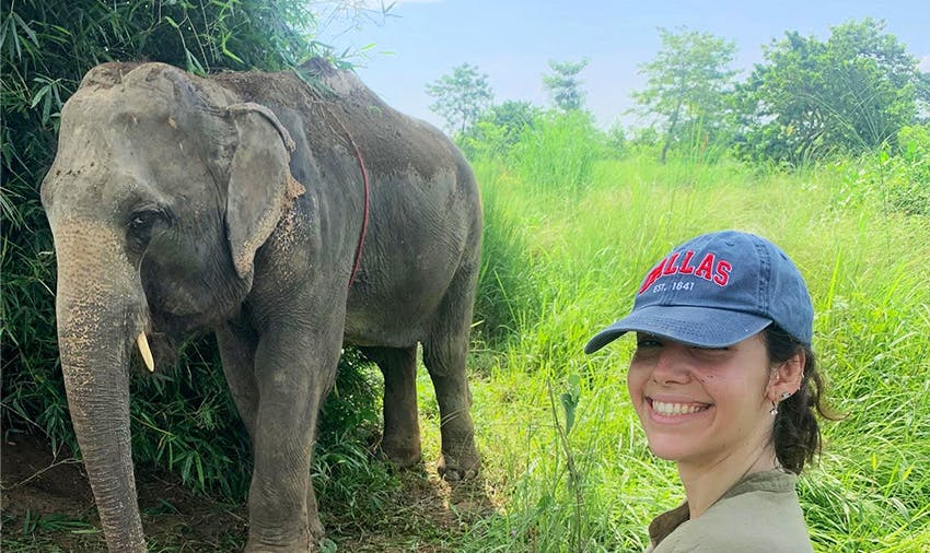 Elephant Conservation Volunteer Program in Nepal
