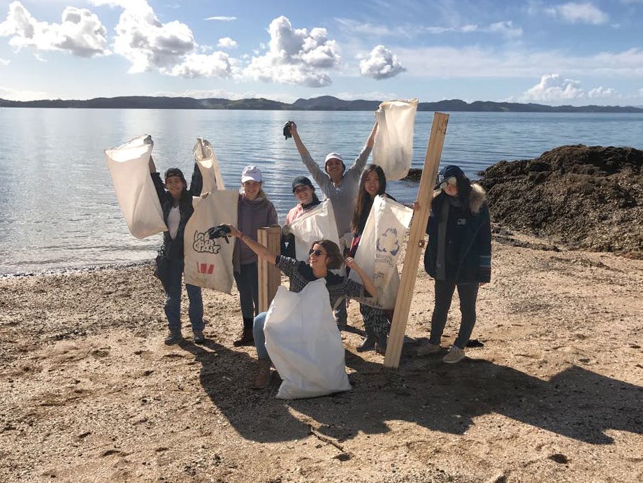 Coastline Conservation and Education Volunteer Project in New Zealand - Auckland