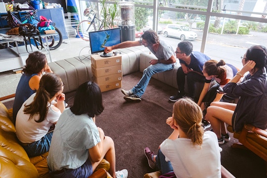 Volunteer on the Environmental Education project in New Zealand with IVHQ