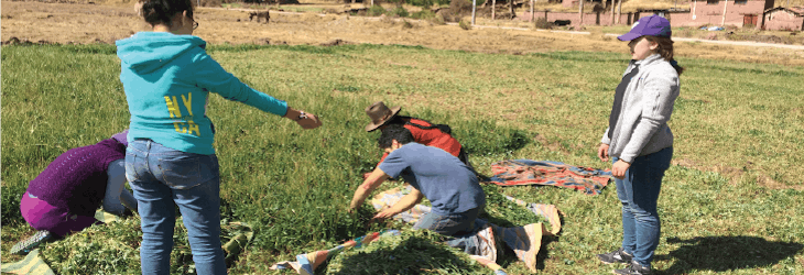 Eco-Agriculture Conservation volunteers in Cusco,Peru with IVHQ