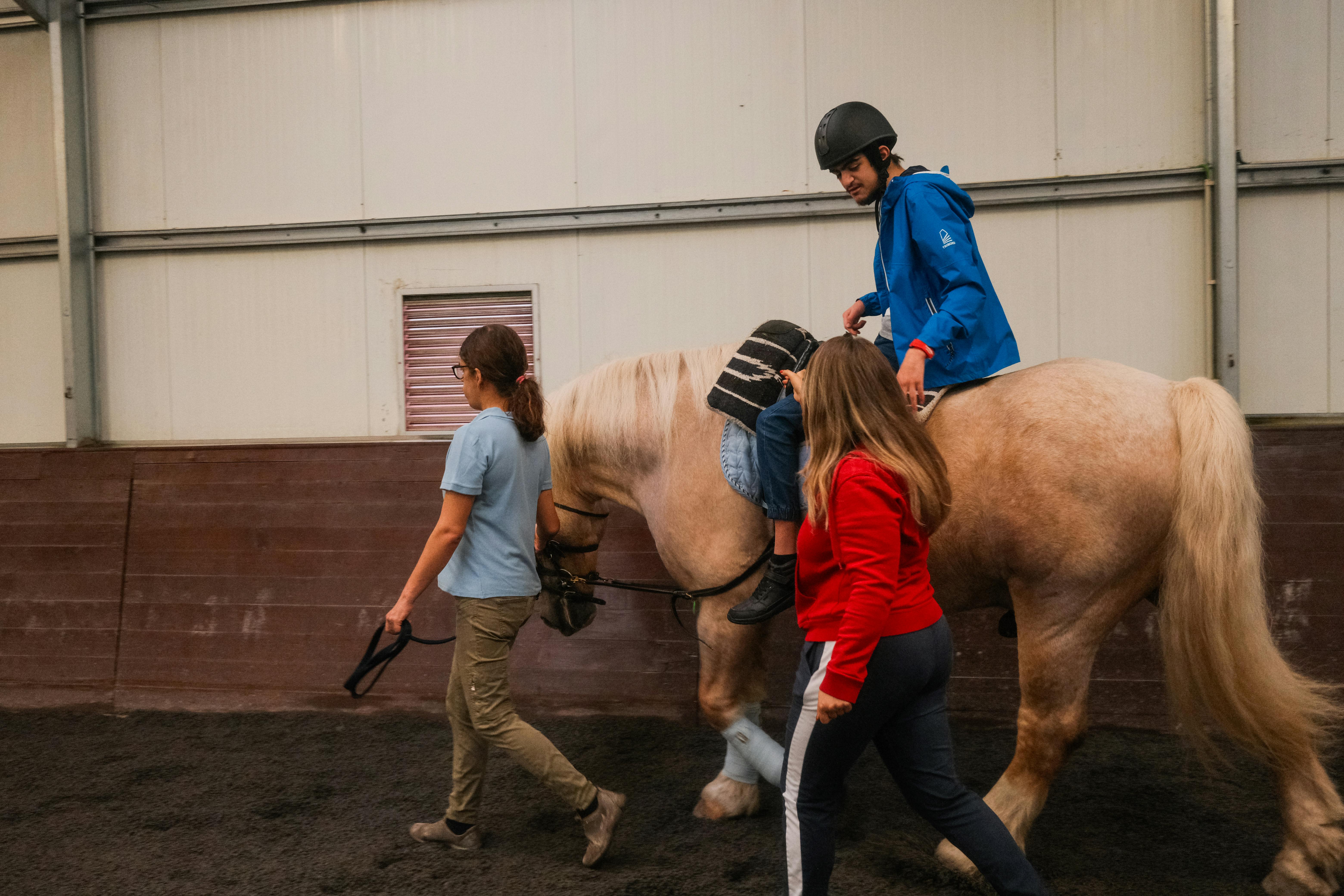 Therapeutic Horse Care Volunteer Project in Portugal - Porto