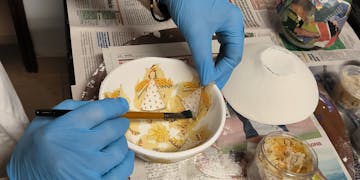 Volunteer on the Community Support volunteer project with IVHQ in Portugal