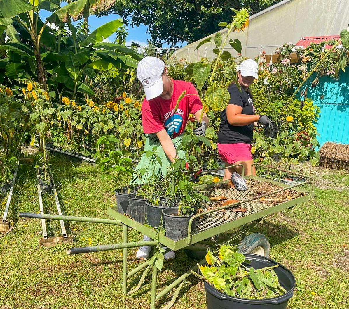 Volunteer Summer Camp for Independent Teens in Puerto Rico