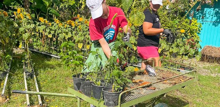 Volunteer Summer Camp Project for Independent Teens in Puerto Rico with IVHQ