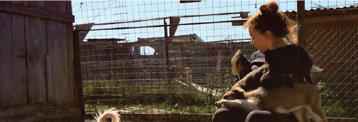 Animal care volunteering in Romania with IVHQ