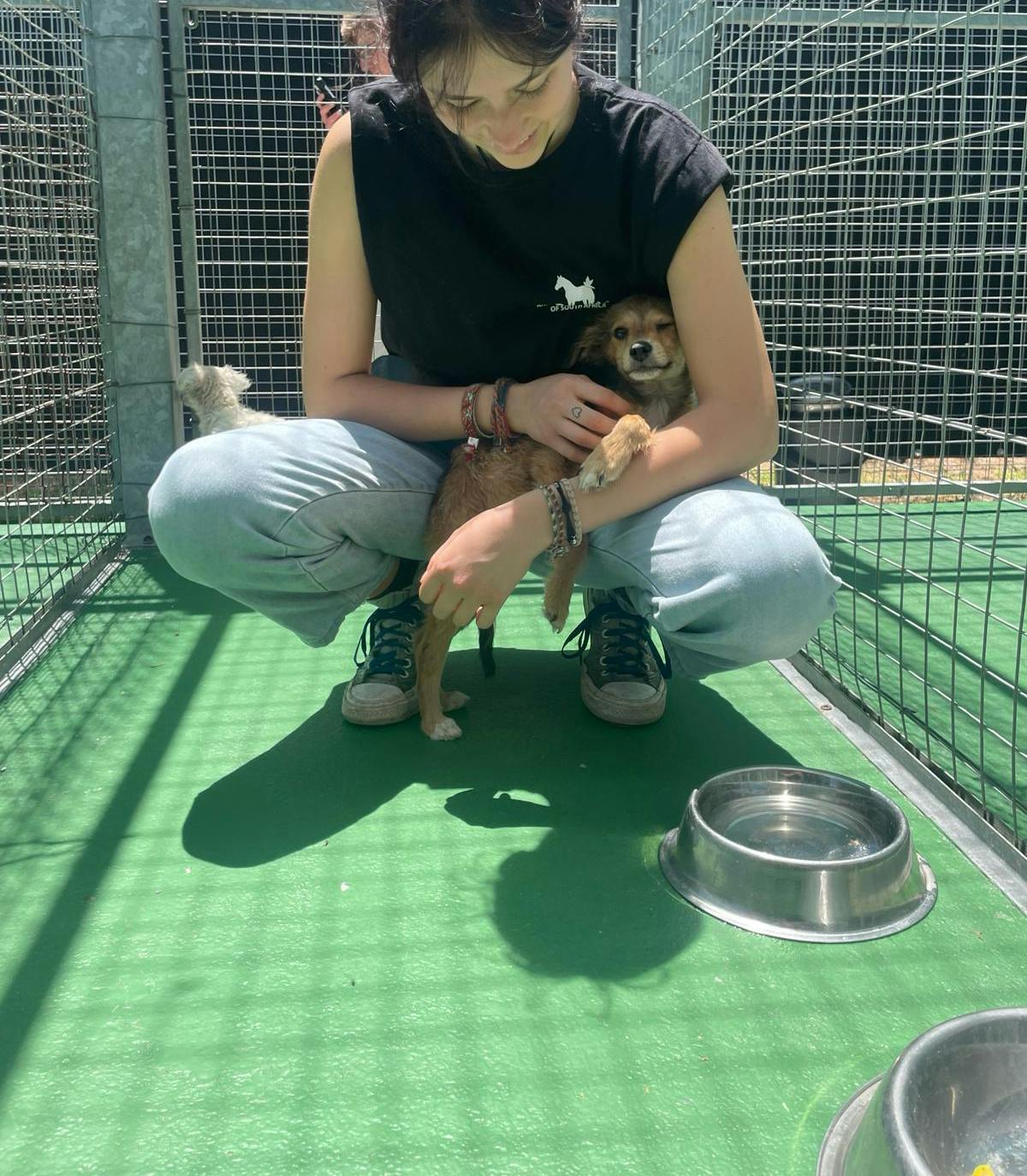 Animal Care Volunteer Project in South Africa - Cape Town