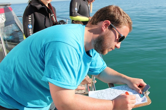 Volunteer on the Marine Conservation project in South Africa with IVHQ