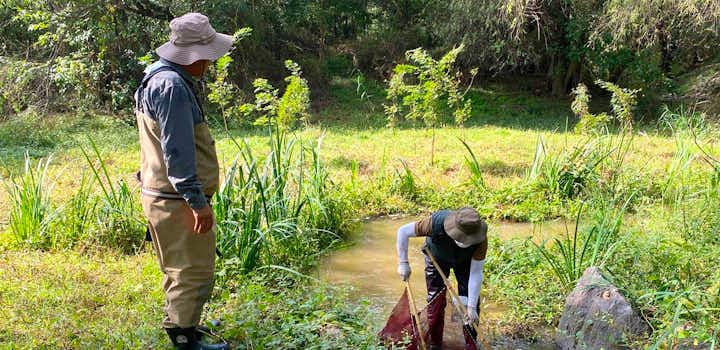 Volunteer on the Ecological Park Rehabilitation in South Korea, Seoul with IVHQ