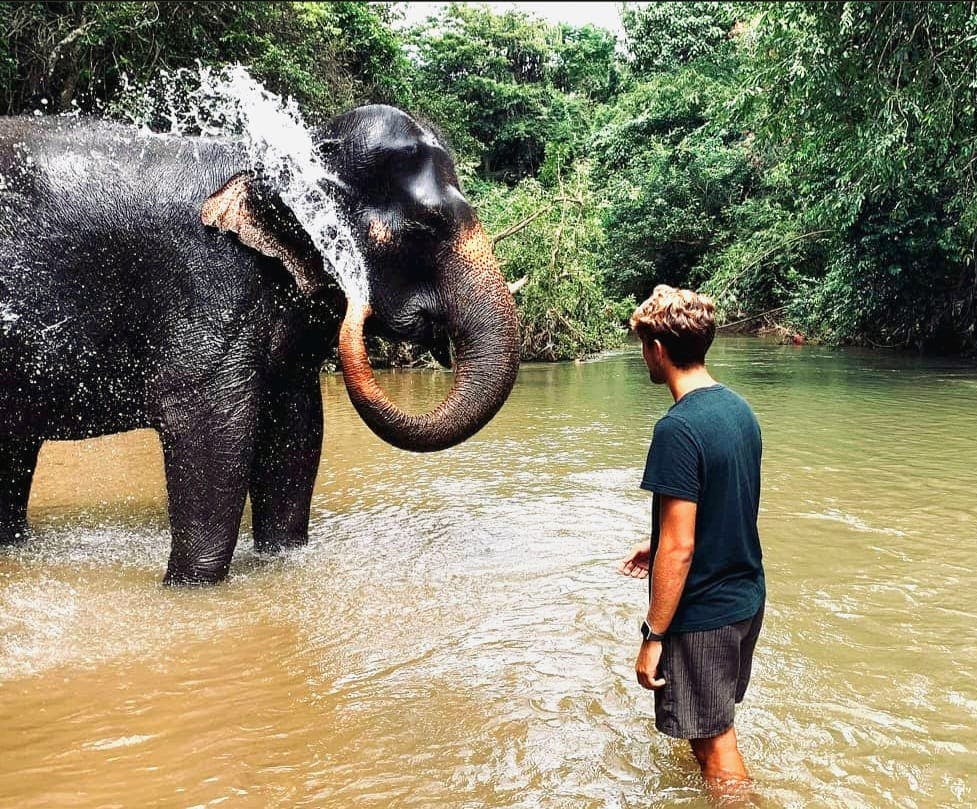 Elephant Welfare Volunteering in Sri Lanka