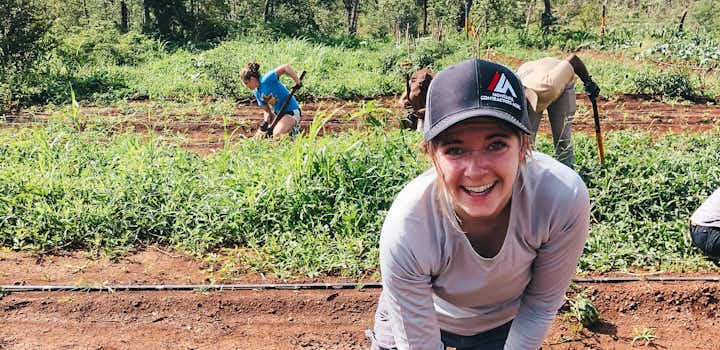 Volunteer on the Sustainable Agriculture with IVHQ in Tanzania