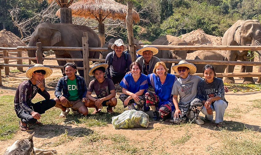 Elephant Welfare in Chiang Mai