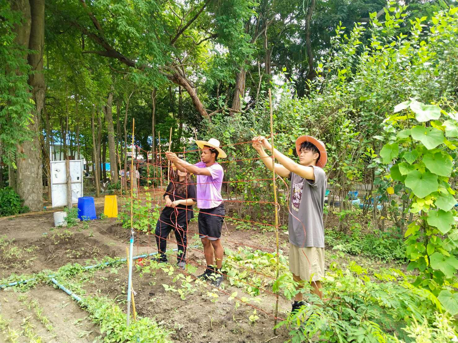 Environmental Conservation Volunteer Project in Thailand - Hua Hin