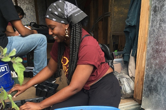 Volunteer on the Environmental Sustainability volunteering preoject in the USA, San Diego with IVHQ