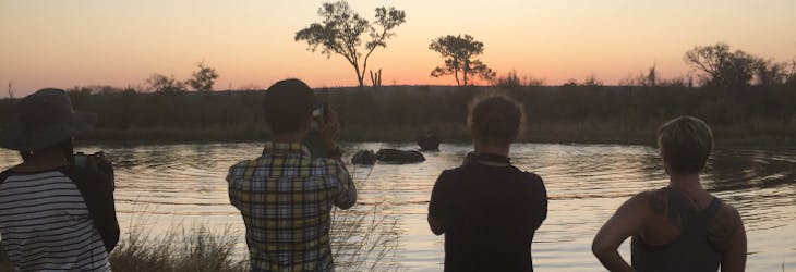 Wildlife Conservation volunteering in Victoria Falls with IVHQ