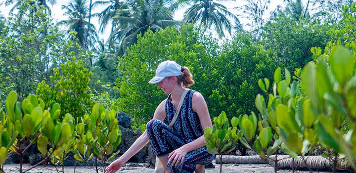 Rainforest and Coastal Conservation in Zanzibar with IVHQ