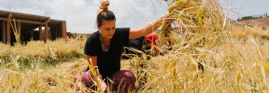 Watch IVHQ volunteers abroad in Marakech, Morocco